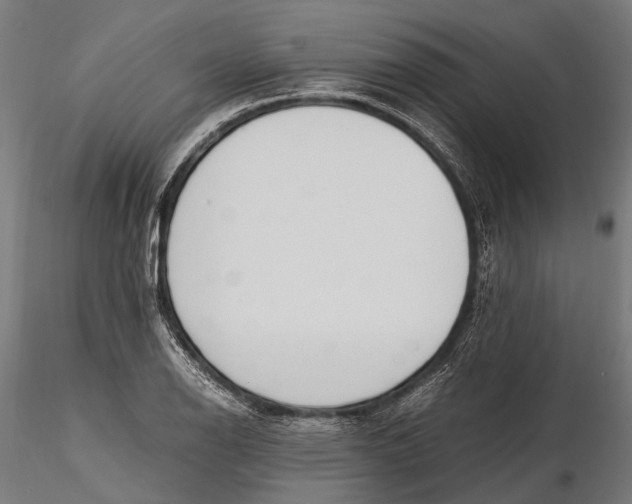 X0000115661126200912031326