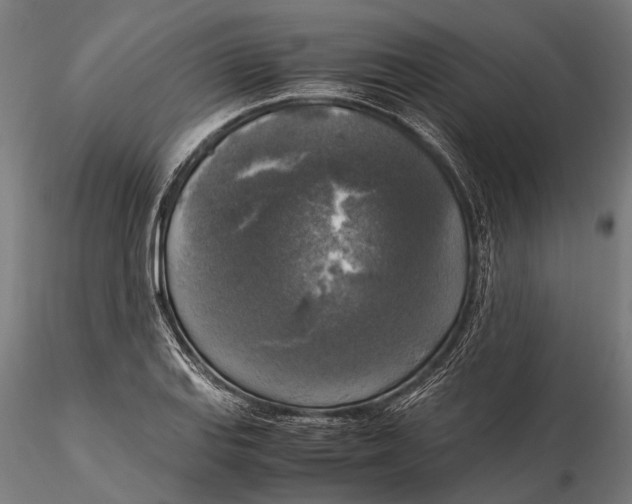 X0000115661127200912031326