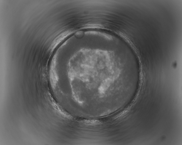 X0000115661129200912031326