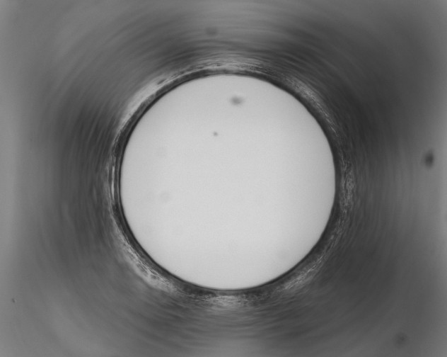 X0000115661130200912031326
