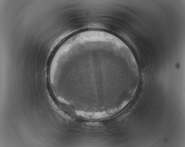 X0000115661133200912031326