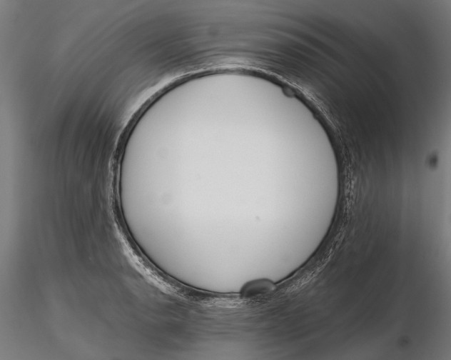 X0000115661134200912031326