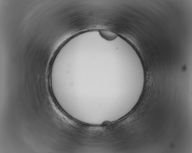 X0000115661135200912031326