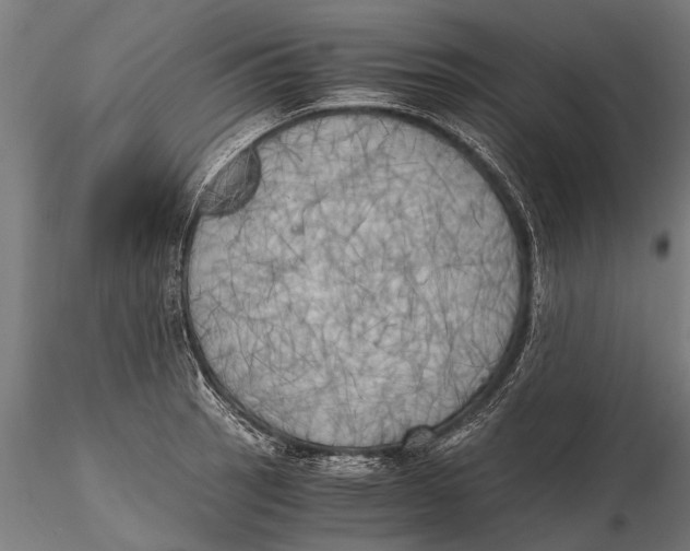 X0000115661137200912031326