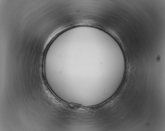 X0000115661138200912031326