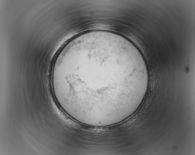 X0000115661139200912031326