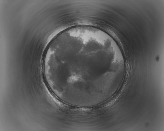 X0000115661141200912031326