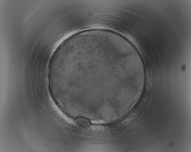 X0000115661142200912031326