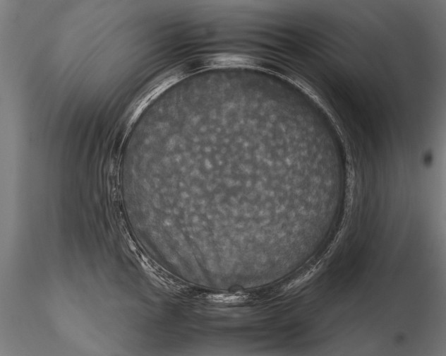 X0000115661145200912031326