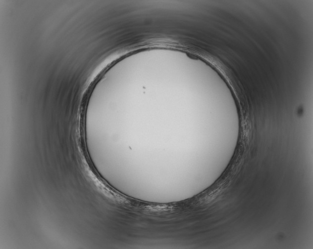 X0000115661147200912031326