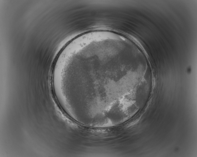 X0000115661149200912031327