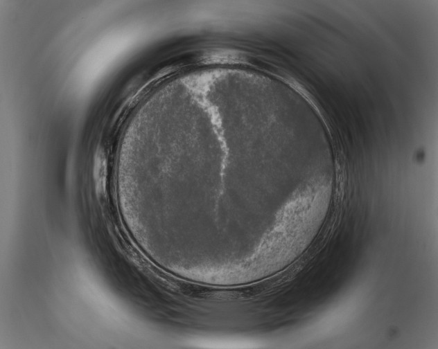 X0000115661151200912031327