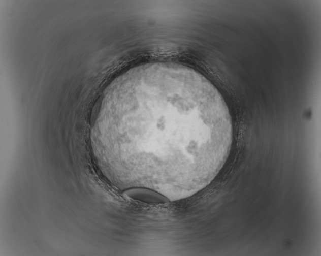 X0000115661153200912031326
