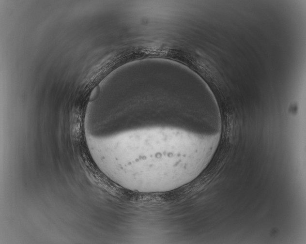 X0000115661154200912031326