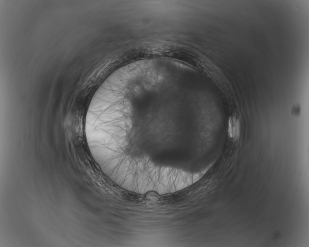 X0000115661155200912031326