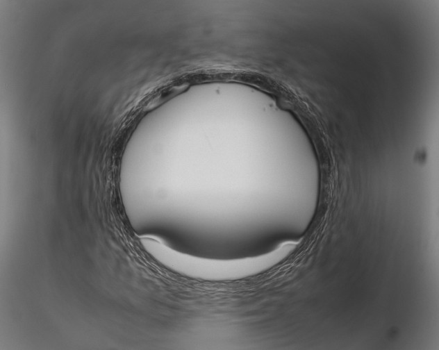 X0000115661157200912031326