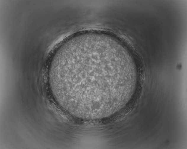 X0000115661159200912031326