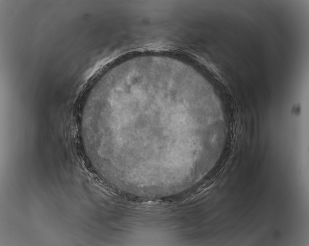 X0000115661160200912031326