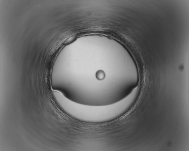 X0000115661161200912031326