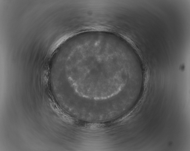 X0000115661163200912031326