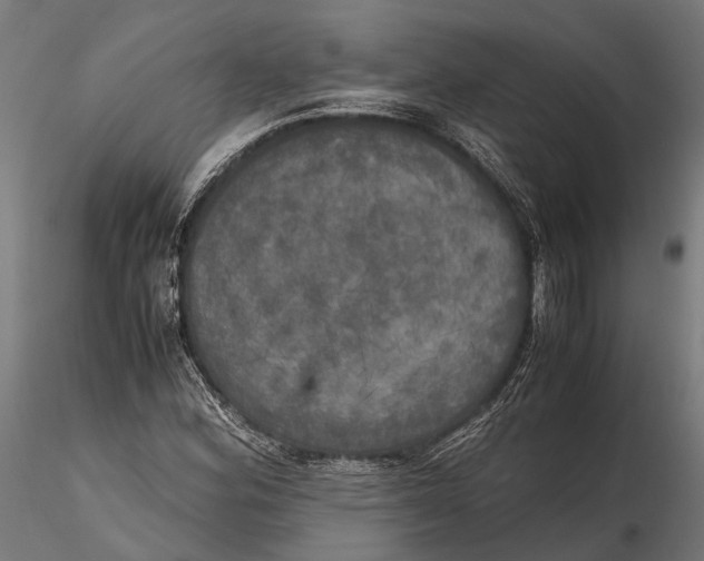 X0000115661164200912031326