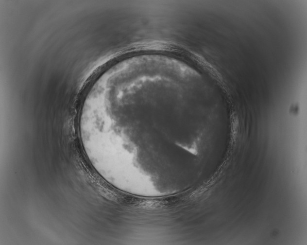 X0000115661166200912031326