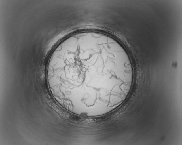 X0000115661167200912031326