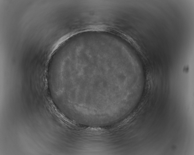 X0000115661168200912031326