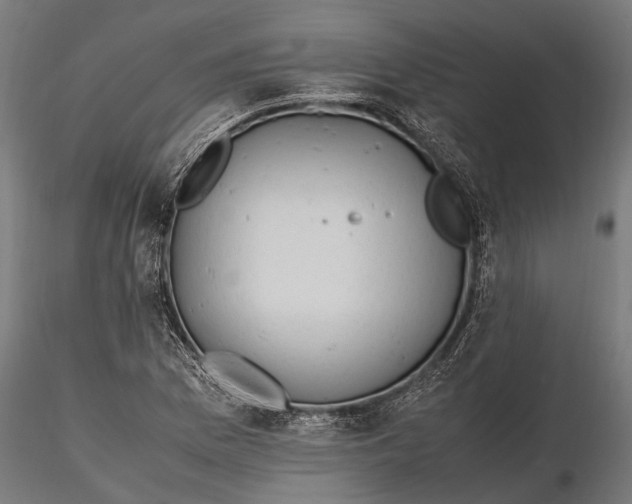 X0000115661169200912031326