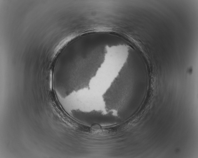 X0000115661171200912031326