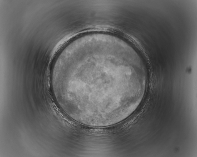 X0000115661172200912031326