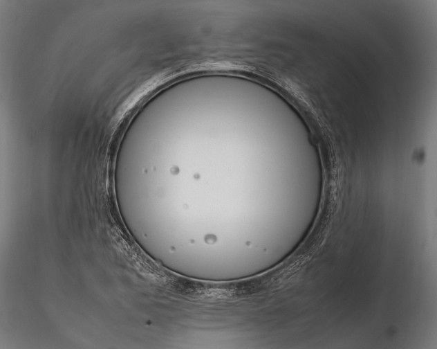 X0000115661173200912031326
