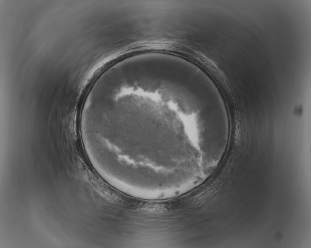 X0000115661174200912031326