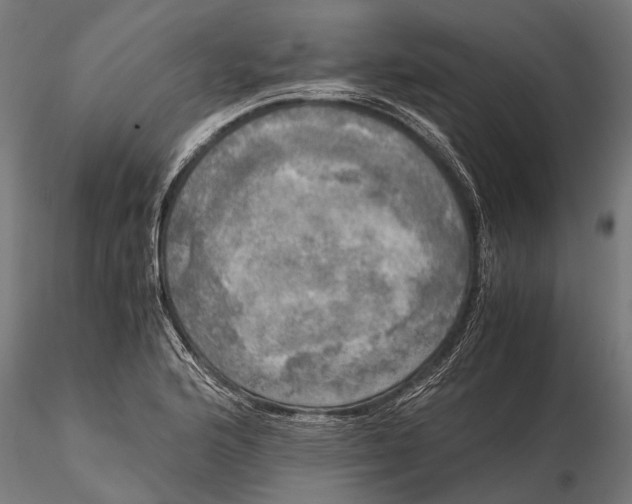 X0000115661176200912031326