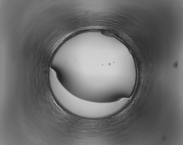 X0000115661177200912031326