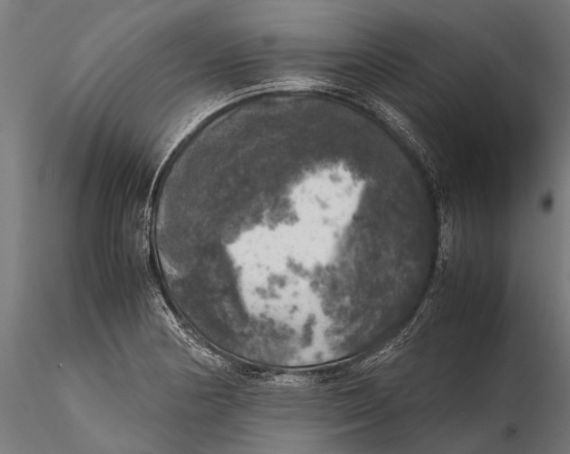 X0000115661178200912031326