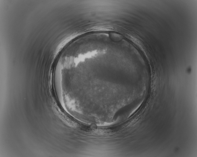 X0000115661179200912031326