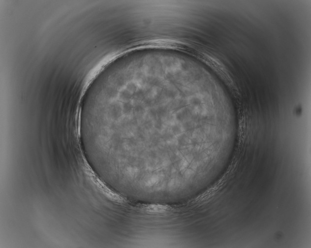 X0000115661180200912031326