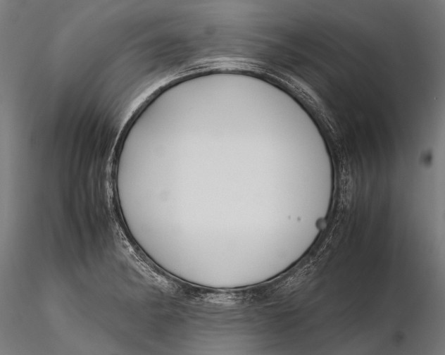 X0000115661182200912031326