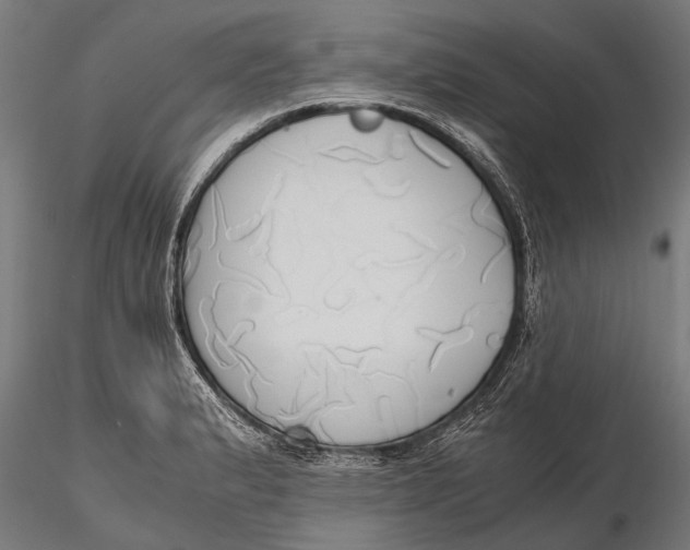 X0000115661183200912031325
