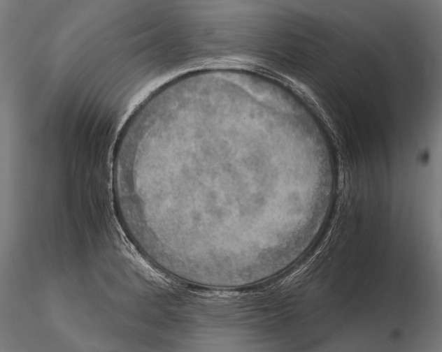 X0000115661184200912031325
