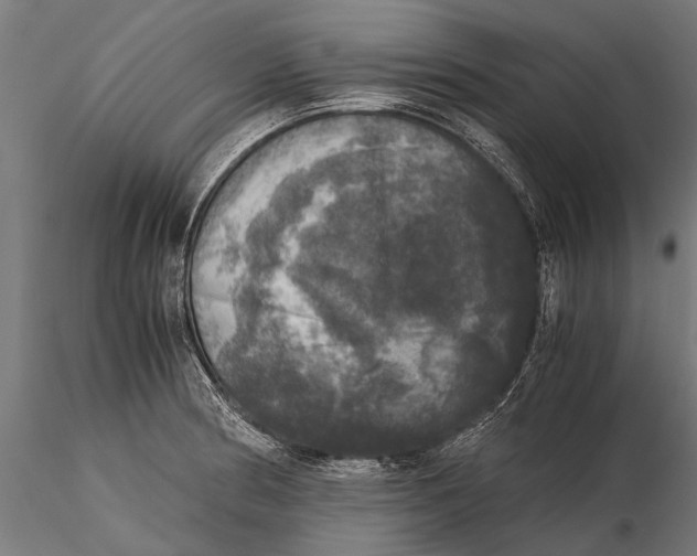 X0000115661186200912031325