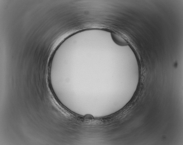 X0000115661187200912031325