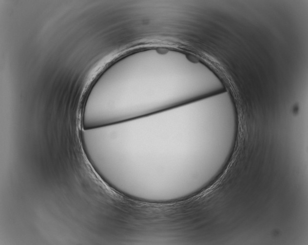 X0000115661188200912031325