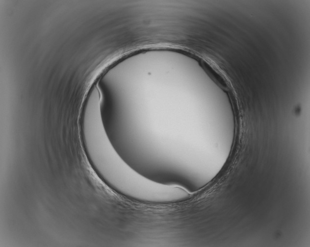 X0000115661189200912031325