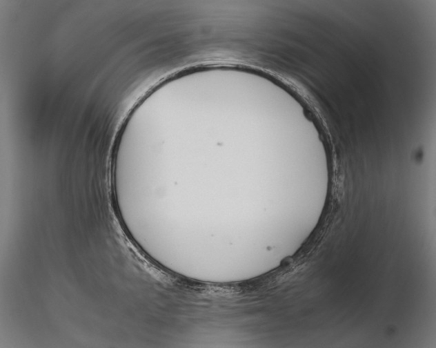 X0000115661191200912031325