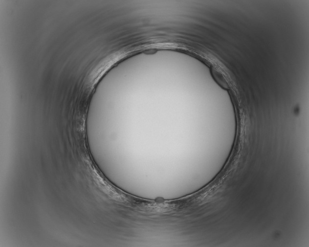 X0000115661193200912031325