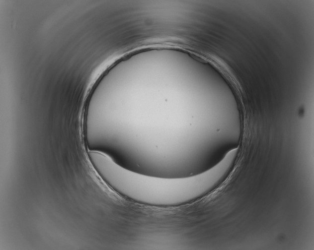 X0000115661196200912031325