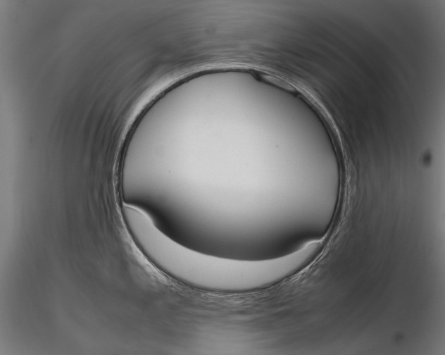 X0000115661197200912031325
