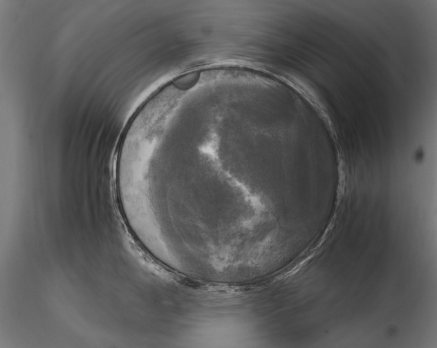 X0000115661198200912031325